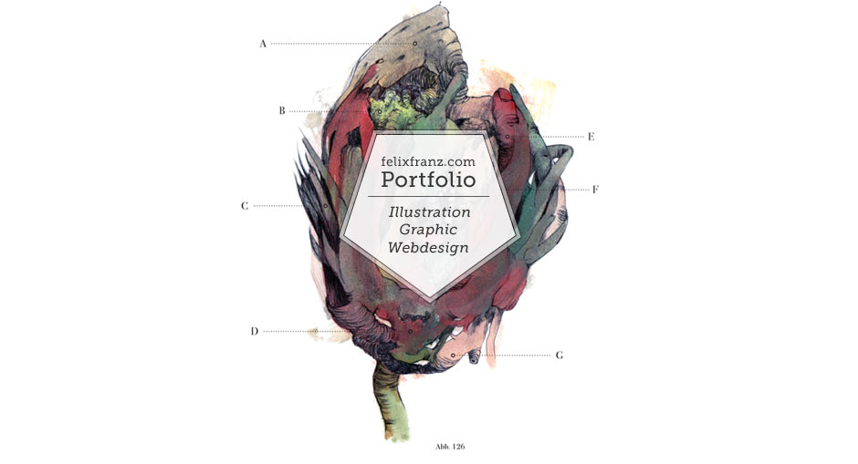 Felix Franz Portfolio - Illustration | Graphic | Webdesign